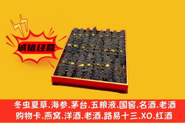 新泰市回收海参